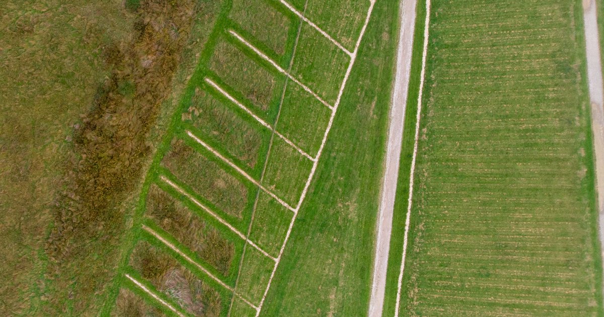 Jak czytać wpisy w księdze wieczystej – wyjaśniamy każdy dział